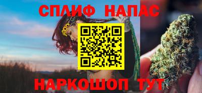 индика Нальчик