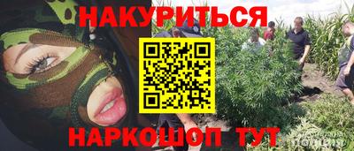 индика Нальчик