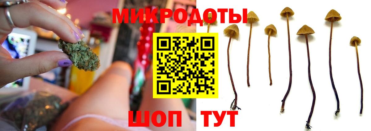 Галлюциногенные грибы прущие грибы  Вход с VPN  Вышний Волочёк 